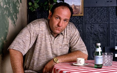 tony the soprano style